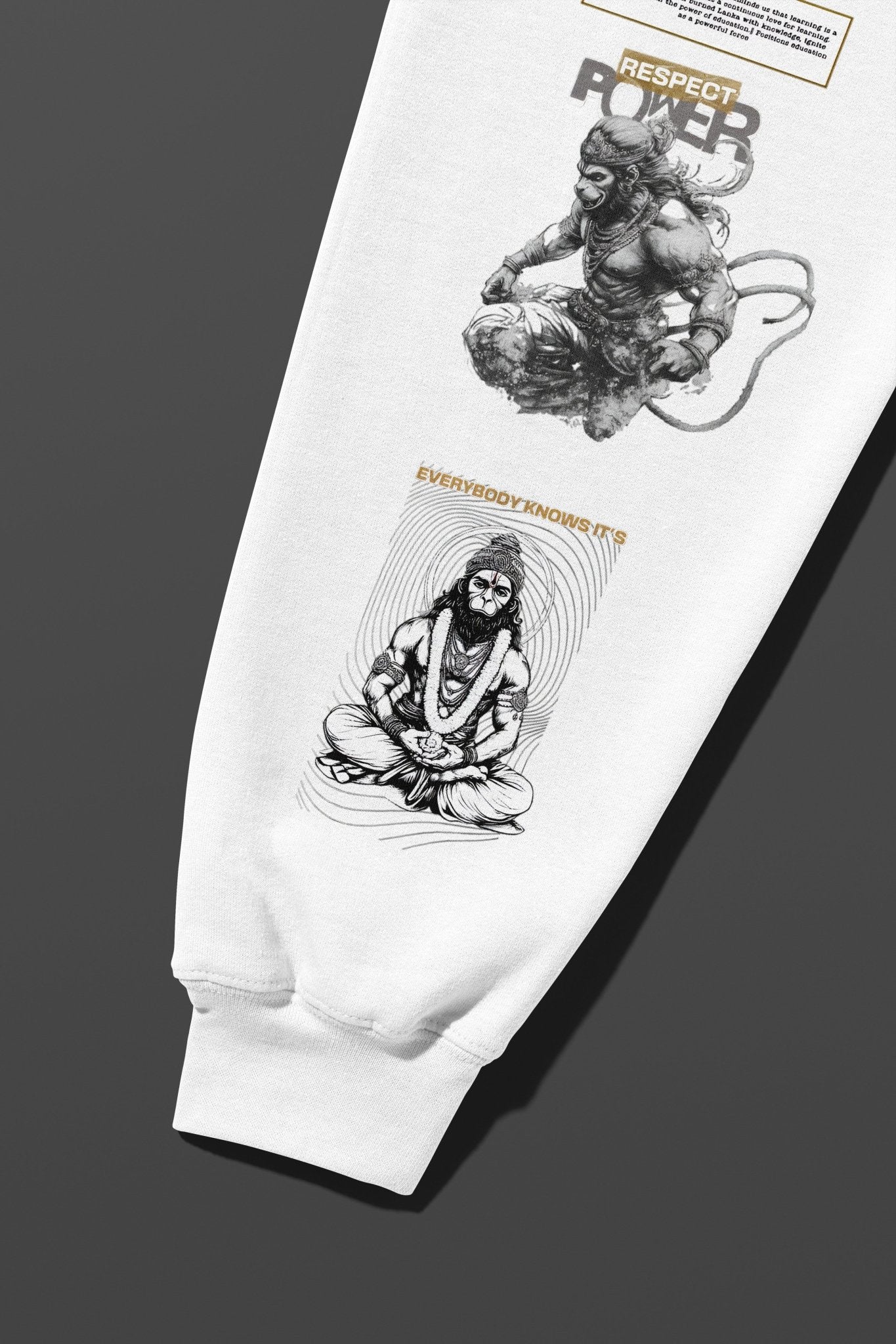 Hanuman - Dignity & Devotion - Astr